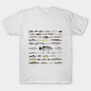 Nile River Basin Fish Group T-Shirt